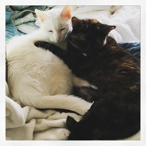 Meet your Posher, Sallie